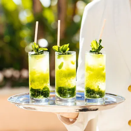 The Beverly Hills Hotel - Dorchester Collection-3